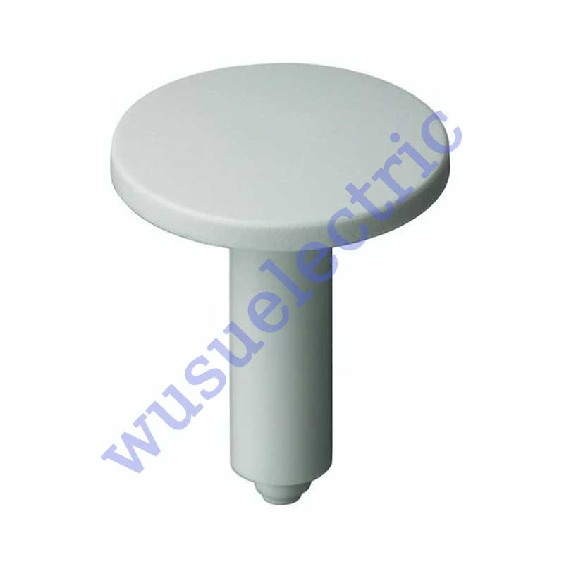 Rafi 5.46.167.050/0209 Round Plunger
